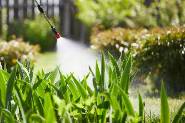 24/7 Emergency Cockroach Control experts in Big Sandy, TX